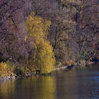 Над водой ... :: Владимир Икомацких