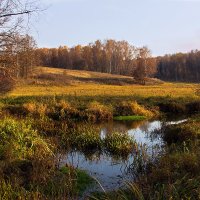 Осень в Ясной поляне. :: Инна Щелокова