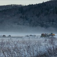 Вывоз сена с поля. Морозное утро. :: Сергей Калиновский