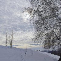 Пасмурным зимнем днём :: Nina Karyuk