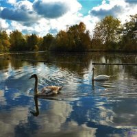 Лебеди плывут в облаках :: Nina Yudicheva