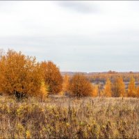 Когда бушевала осень... :: марк 