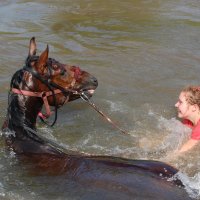 Купание коней в реке Колочь :: Евгений Винокуров
