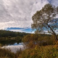 Осенний пейзаж. :: Елена Струкова