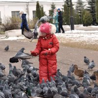 Так встретили голуби в Николо - Угрешском монастыре! :: Татьяна Помогалова