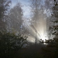 Nebel und Sonne :: Heinz Thorns