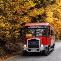 red bus in the autumn forest :: Dmitry Ozersky