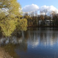 Осень на Елагинских прудах :: Ольга 