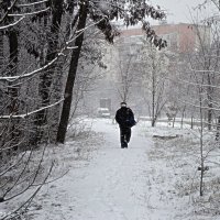 Зима :: Степан Карачко