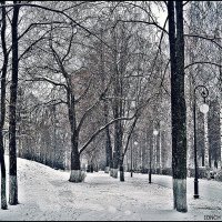 Зима пришла :: muh5257 