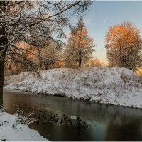 Последняя полынья :: Владимир Чикота 