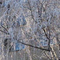 первый день зимы! :: Елена Шаламова