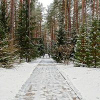 В последние дни осени :: Милешкин Владимир Алексеевич 