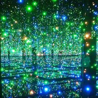 На  выставке работ  Yoyil Kusama :: Виталий Селиванов 