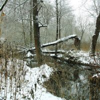 этюд :: Владимир Холодницкий