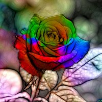 Купи женщине хоть тысячу разноцветных роз, а она скажет, что ей нужна только одна, но белая..:) :: Андрей Заломленков