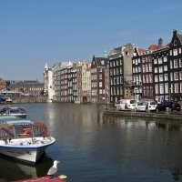 Амстердам :: Grey Bishop