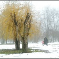 Зима однако... (2) :: Юрий ГУКОВЪ