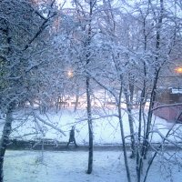 Зимнее снежное утро :: Елена Семигина