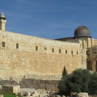 Иерусалим. Стена Старого города. :: Герович Лилия 