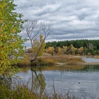 Река Чингис, Иванов лог, начало октября :: Дмитрий Конев