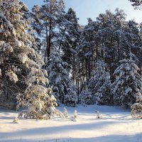Зимы оснеженные сказки... :: Лесо-Вед (Баранов)