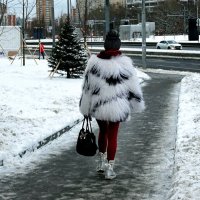 Идёт Московская зима! :: Татьяна Помогалова