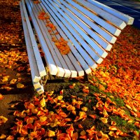 скамейка в парке в осенней листве :: Танзиля Завьялова