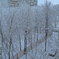 Будут  сегодня  детишкам  снежки! :: Виталий Селиванов 