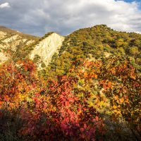 Грузия, горы, осень :: Лариса Батурова