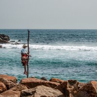 Просто рыбак... Шри-Ланка! :: Александр Вивчарик