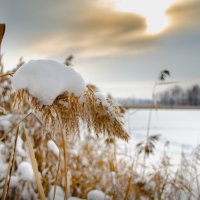 ... :: Алексей Бортновский