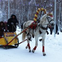 Зимние забавы :: раиса Орловская