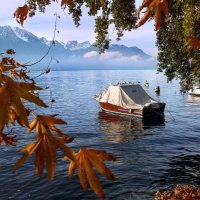 зима на Женевском озере :: Elena Wymann