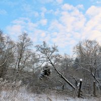 этюд :: Владимир Холодницкий