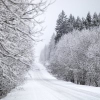 Зима :: Ольга Милованова