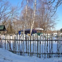 Звонкий зимний воздух :: Лидия (naum.lidiya)