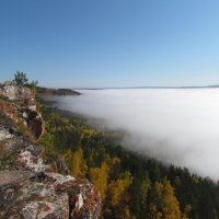 Утренний туман :: Наталья Еловская