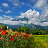 прекрасен лес и горы, и цветы... :: Elena Wymann