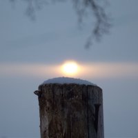Солнышко на столбике :: Светлана Рябова-Шатунова