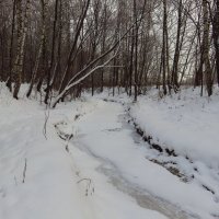 Декабрь обыкновенный :: Андрей Лукьянов