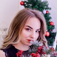Новогоднее настроение :: Ирина Соколова