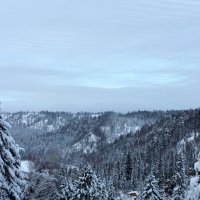 Зима :: Радмир Арсеньев
