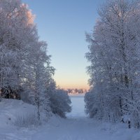 *** :: Андрей Дурапов