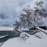 Много снега на Байкале :: Татьяна Дубровина