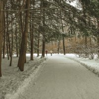 Прогулки по Зимнему Парку :: юрий поляков