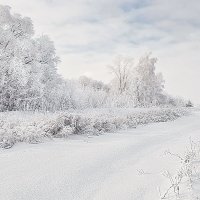 Зима :: Анатолий Евстропов
