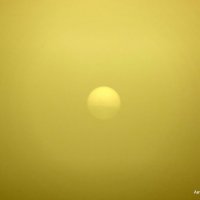 Туман и солнце. :: Валерьян Запорожченко