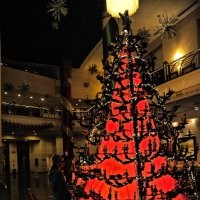 Рождественская елка :: Alexander Dementev