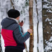 Перекус в лесу :: Владимир Пименков